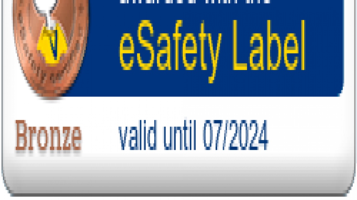 Güvenli İnternet Kullanımında '' eSafety Label Bronz'' Etiketi Aldık